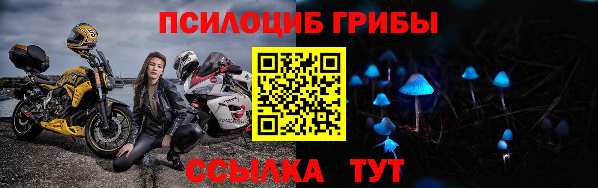 Галлюциногенные грибы Magic Shrooms Ессентуки